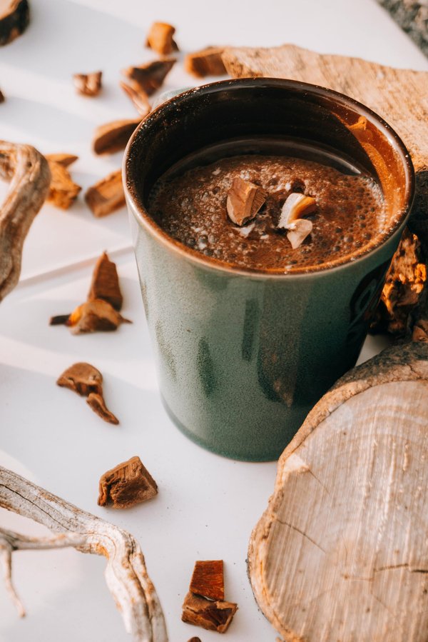 Découvrez mushee : vos nouvelles boissons énergétiques aux champignons